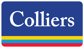 logo-1